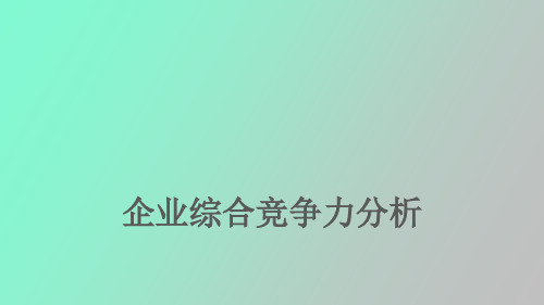 企业竞争力分析