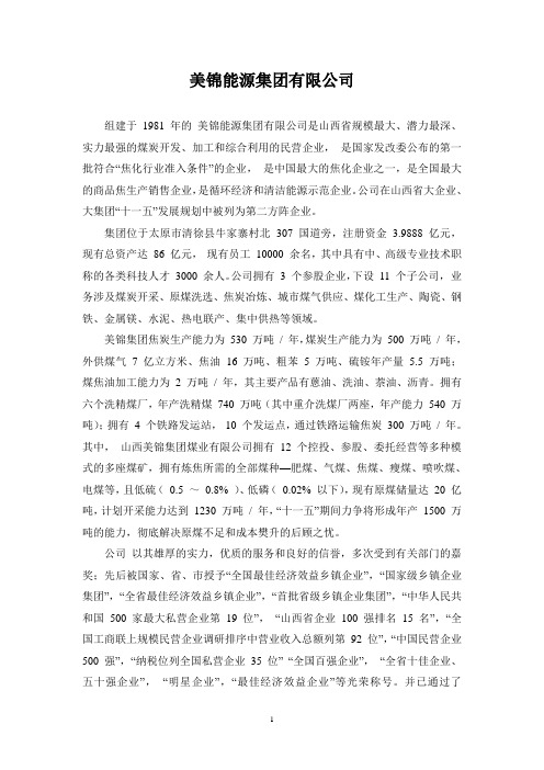 美锦能源集团有限公司