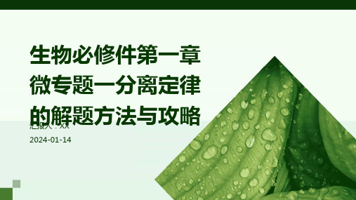 生物必修件第一章微专题一分离定律的解题方法与攻略