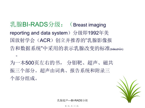 乳腺超声BIRADS分级课件