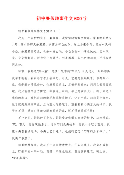 初中暑假趣事作文600字