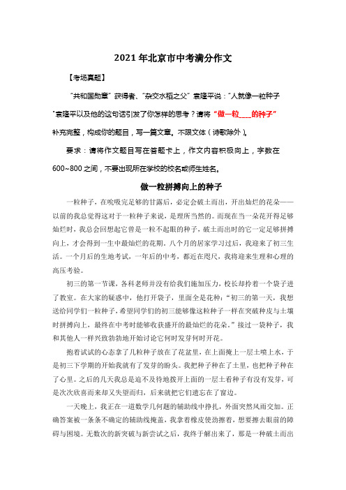 2021年北京市中考满分作文《做一粒拼搏向上的种子》