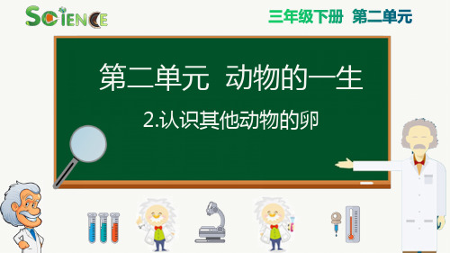 最新教科版三年级科学下册《认识其他动物的卵》精品教学课件