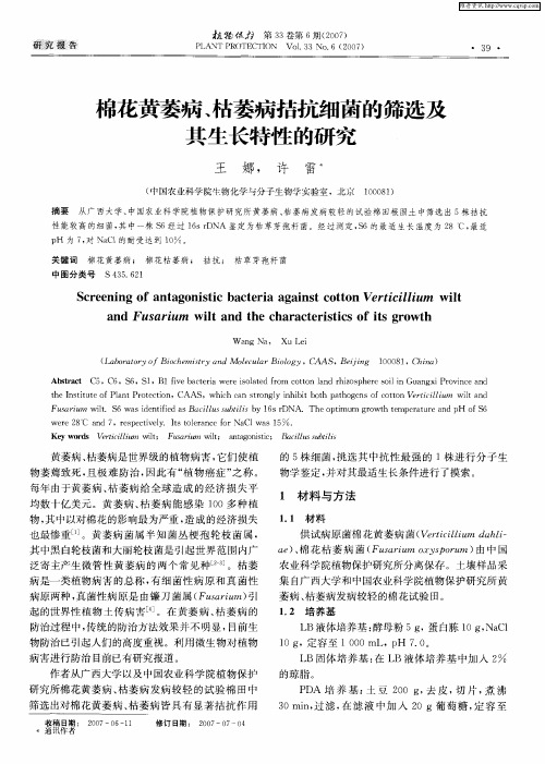 棉花黄萎病、枯萎病拮抗细菌的筛选及其生长特性的研究