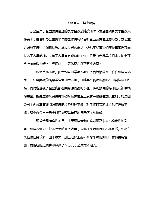 无预算支出整改报告