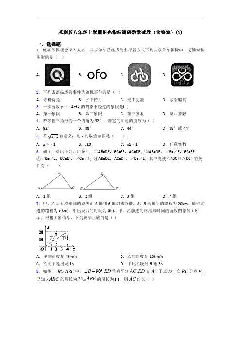 苏科版八年级上学期阳光指标调研数学试卷(含答案)(1)