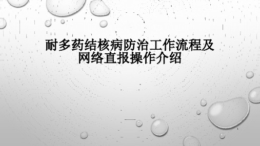 耐多药结核病防治工作流程ppt课件