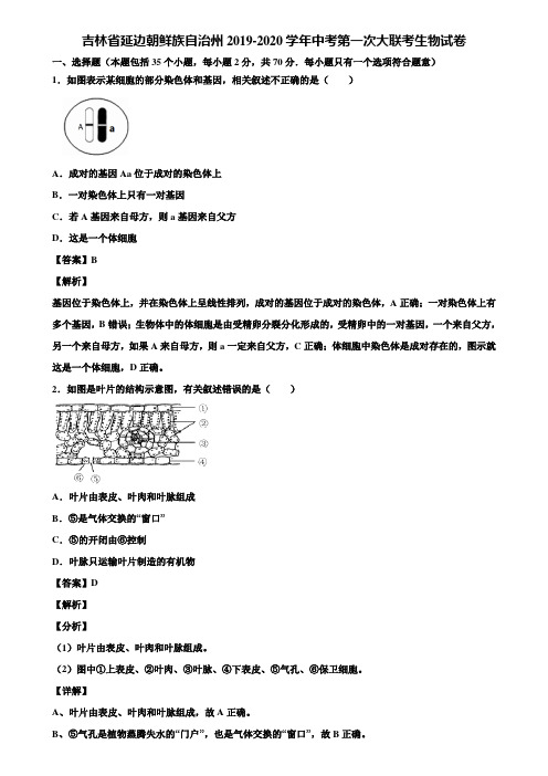 吉林省延边朝鲜族自治州2019-2020学年中考第一次大联考生物试卷含解析