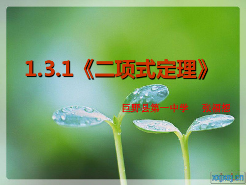 高中数学 1.3.1《二项式定理》课件 新人教A版选修2-3