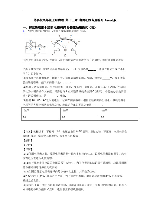 苏科版九年级上册物理 第十三章 电路初探专题练习(word版