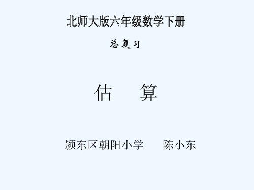 北师大版小学六年级数学下册《估算》PPT