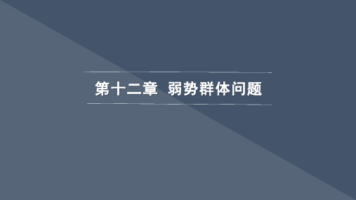 30第十二章 弱势群体问题