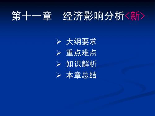 项目决策分析与评价 第十一章经济影响分析