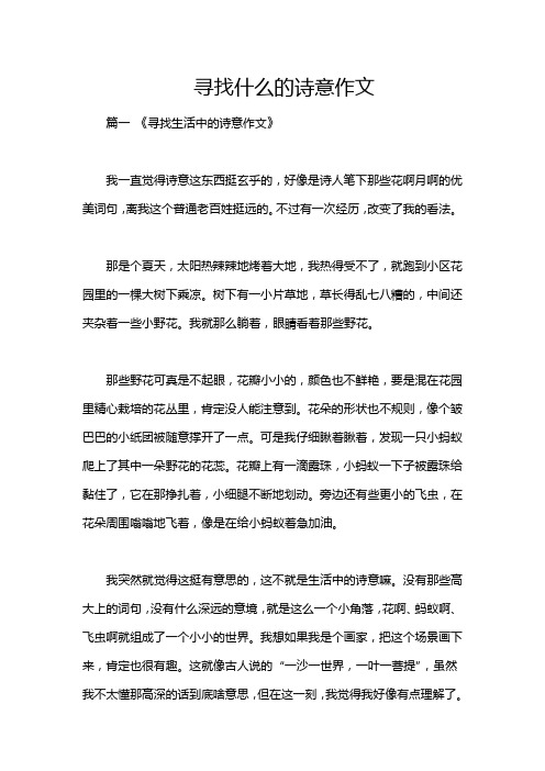 寻找什么的诗意作文