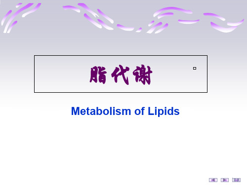 第五章脂代谢