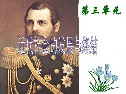 【初中历史】避免革命的改革ppt7 北师大版