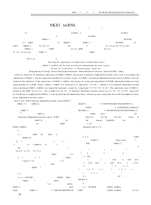 雄激素非依赖性前列腺癌组织中同源框基因NKX3.1 mRNA和蛋白的表达及意义