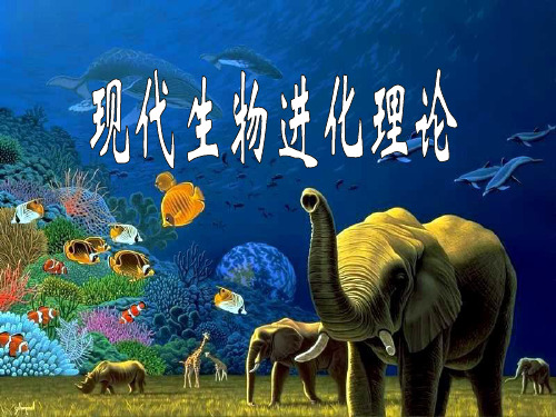 现代生物进化理论