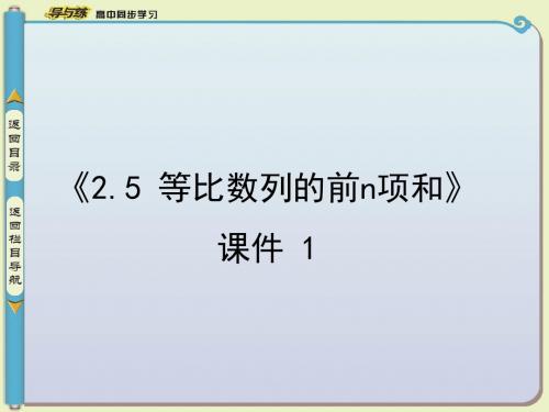 《2.5 等比数列的前n项和》 课件 1-优质公开课-人教A版必修5精品