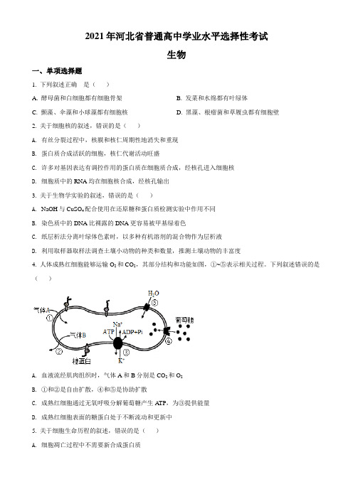 2021年河北高考生物试卷(新高考)真题(Word版+答案+解析)