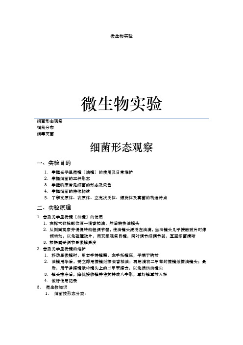 微生物实验报告微生物形态观察、分布、灭菌消毒