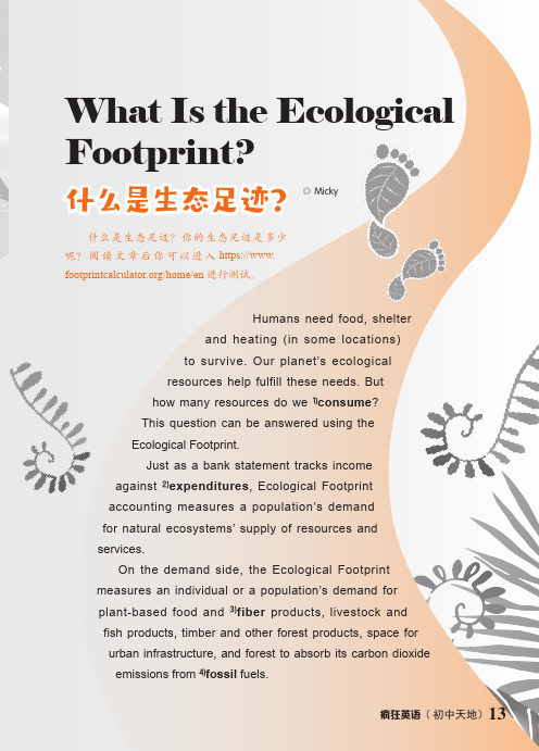 What_Is_the_Ecological_Footprint