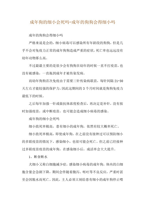 成年狗的细小会死吗-成年的狗狗会得细小吗