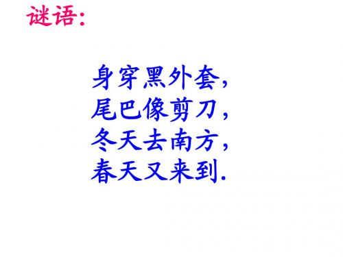 新苏教版语文四年级下册燕子 PPT课件