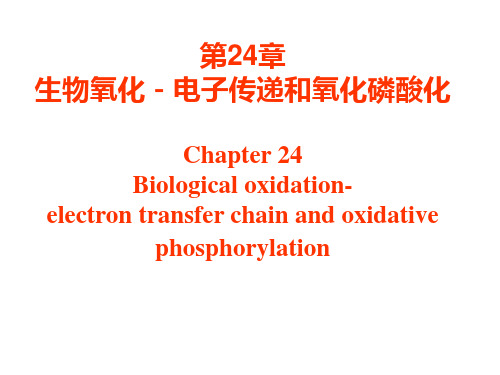 生物化学与分子生物学第24章生物氧化