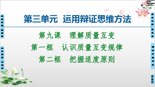 认识质量互变规律把握适度原则教学课件-高中政治统编版选择性必修