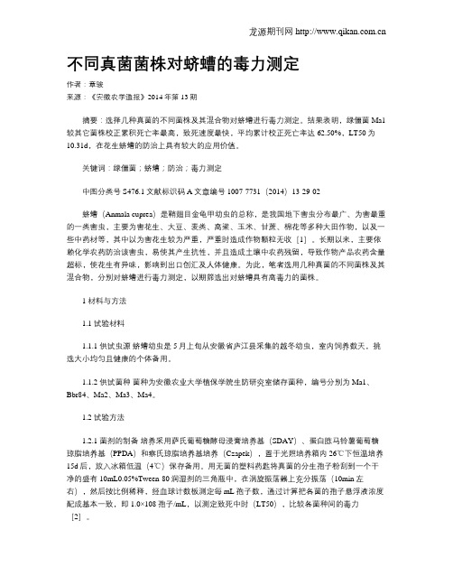 不同真菌菌株对蛴螬的毒力测定