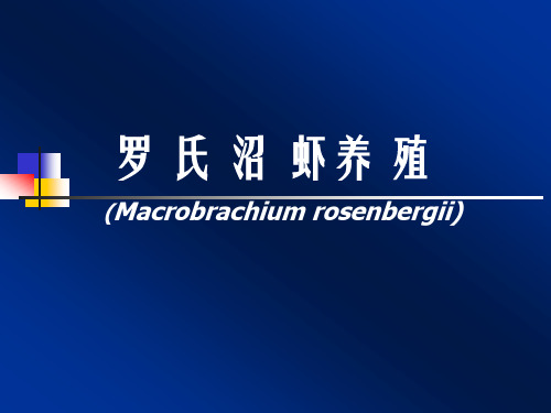 罗氏沼虾又名马来西亚大虾