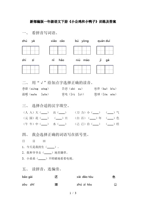 新部编版一年级语文下册《小公鸡和小鸭子》训练及答案