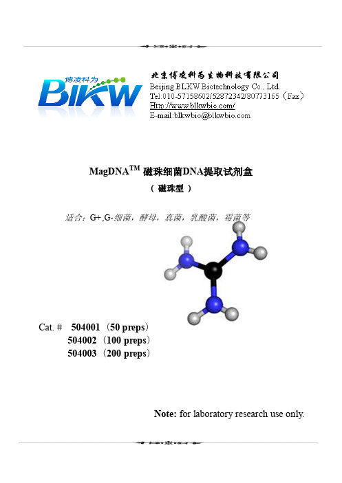 磁珠法细菌DNA提取试剂盒