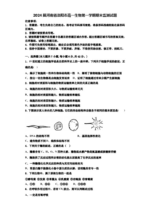 2024届河南省洛阳市高一生物第一学期期末监测试题含解析