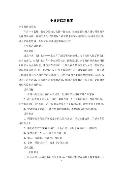 小导游活动教案