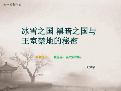 初一想象作文《冰雪之国 黑暗之国与王室禁地的秘密》250字