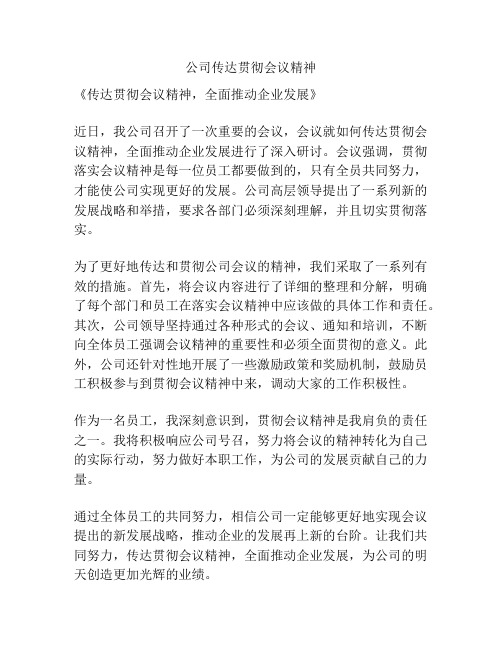 公司传达贯彻会议精神