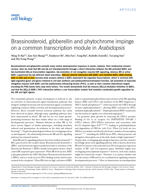 Brassinosteroid, gibberellin and phytochrome impinge on a common