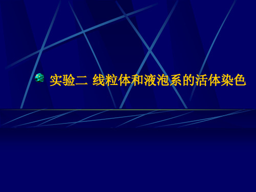 实验二 线粒体和液泡系的活体染色