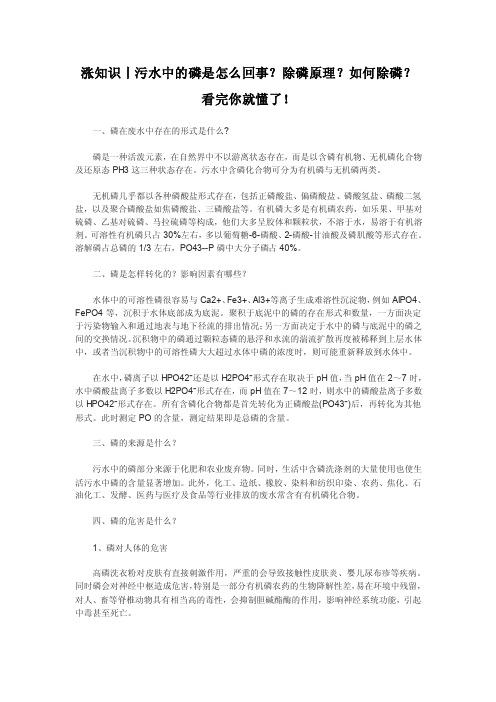 涨知识丨污水中的磷是怎么回事？除磷原理？如何除磷？看完你就懂了！