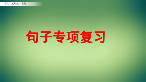 部编版语文五年级上册期末考试句子专项复习