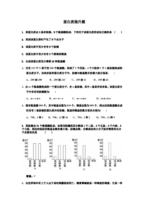 蛋白质提升题