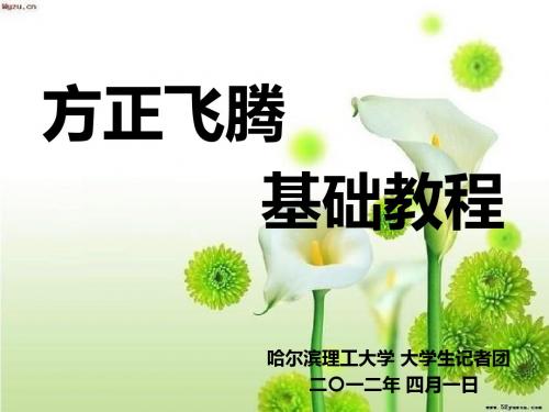 方正飞腾基础教程-PPT精选文档