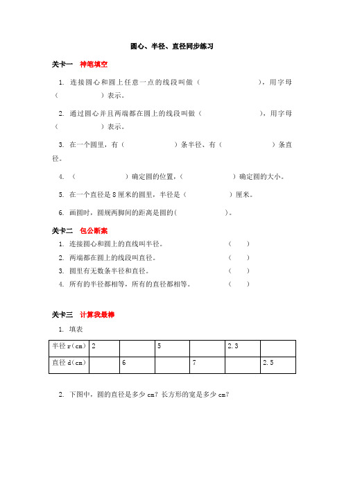 冀教版六年级数学上册 圆心、半径、直径同步练习(含答案)