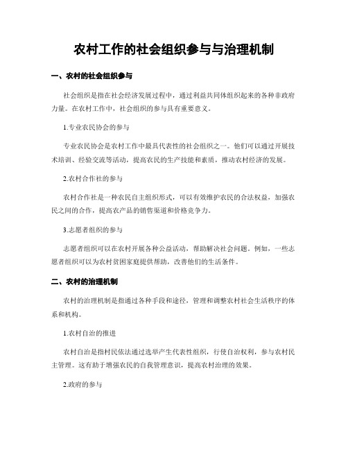 农村工作的社会组织参与与治理机制