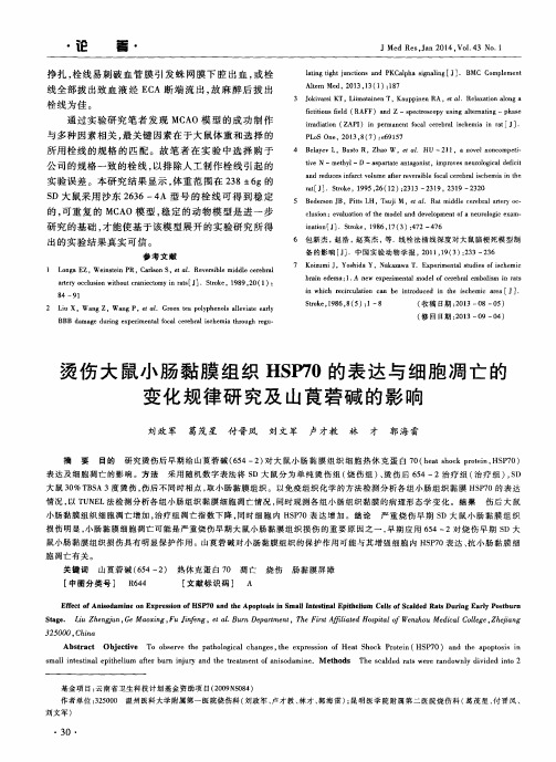 烫伤大鼠小肠黏膜组织HSP70的表达与细胞凋亡的变化规律研究及山莨菪碱的影响