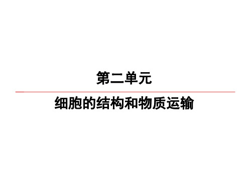2020高考生物一轮复习课件:第2单元 第2讲 细胞质及生物膜系统
