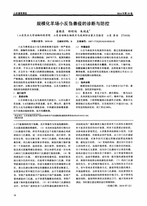 规模化羊场小反刍兽疫的诊断与防控