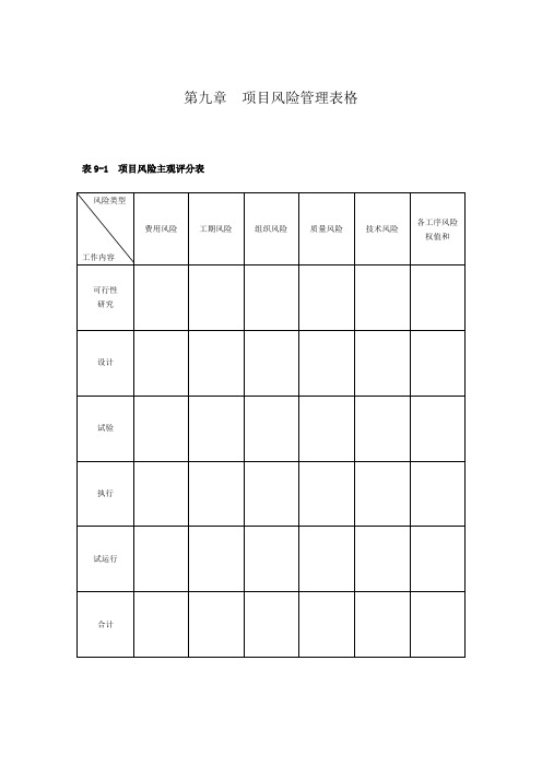 第9章--项目风险管理表格